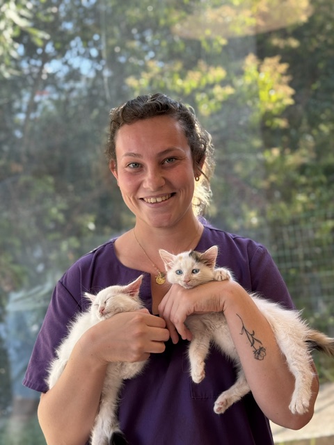 Chiara, auxiliaire vétérinaire, avec deux chatons