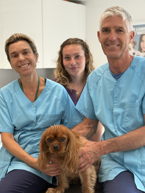 L'équipe de la clinique vétérinaire réunie avec un chien