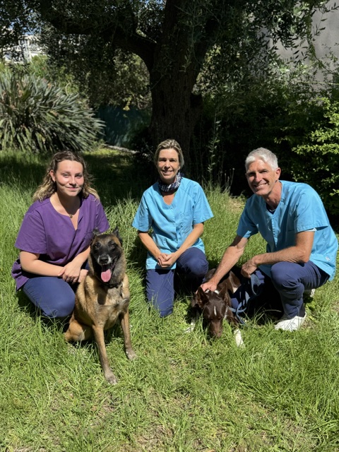 L'équipe de la clinique vétérinaire réunie avec deux chiens